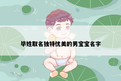 毕姓取名独特优美的男宝宝名字